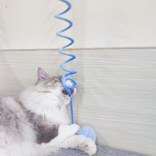 Interaktives Katzen-Spielzeug mit Feder
